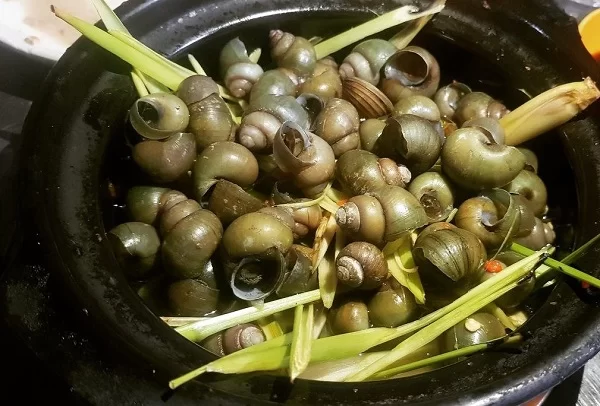 Ốc lạo hấp
